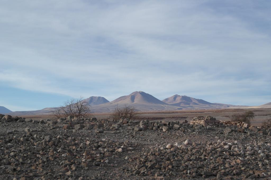 فيلا Complejo Turistico El Toconar Toconao المظهر الخارجي الصورة